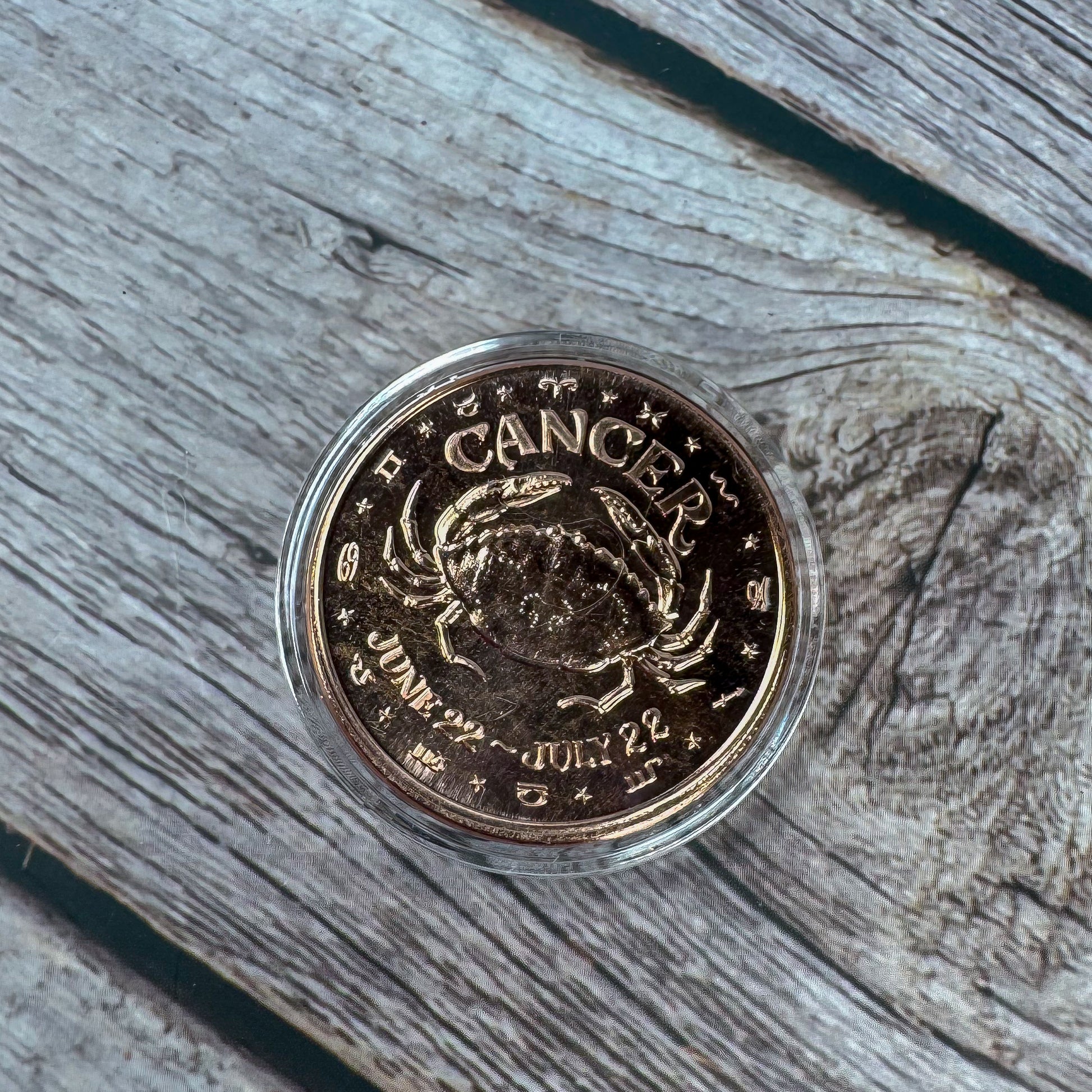 Copper Coin – 500001 (6)