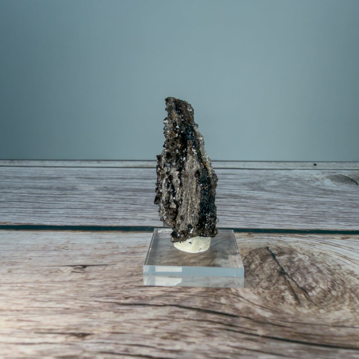 Crystallized Fossil Wood Raw – 100073 (2)