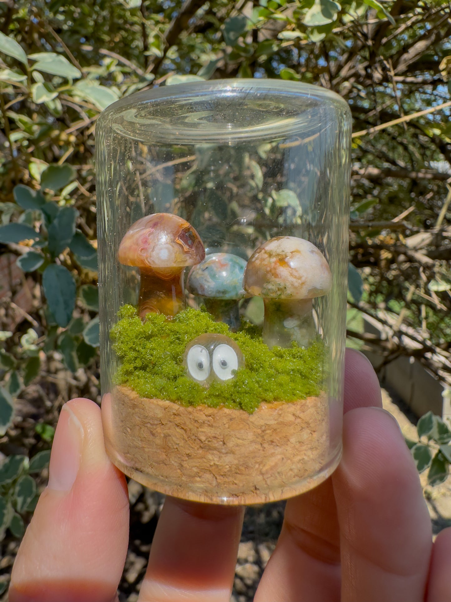 Large Mushie Terrarium