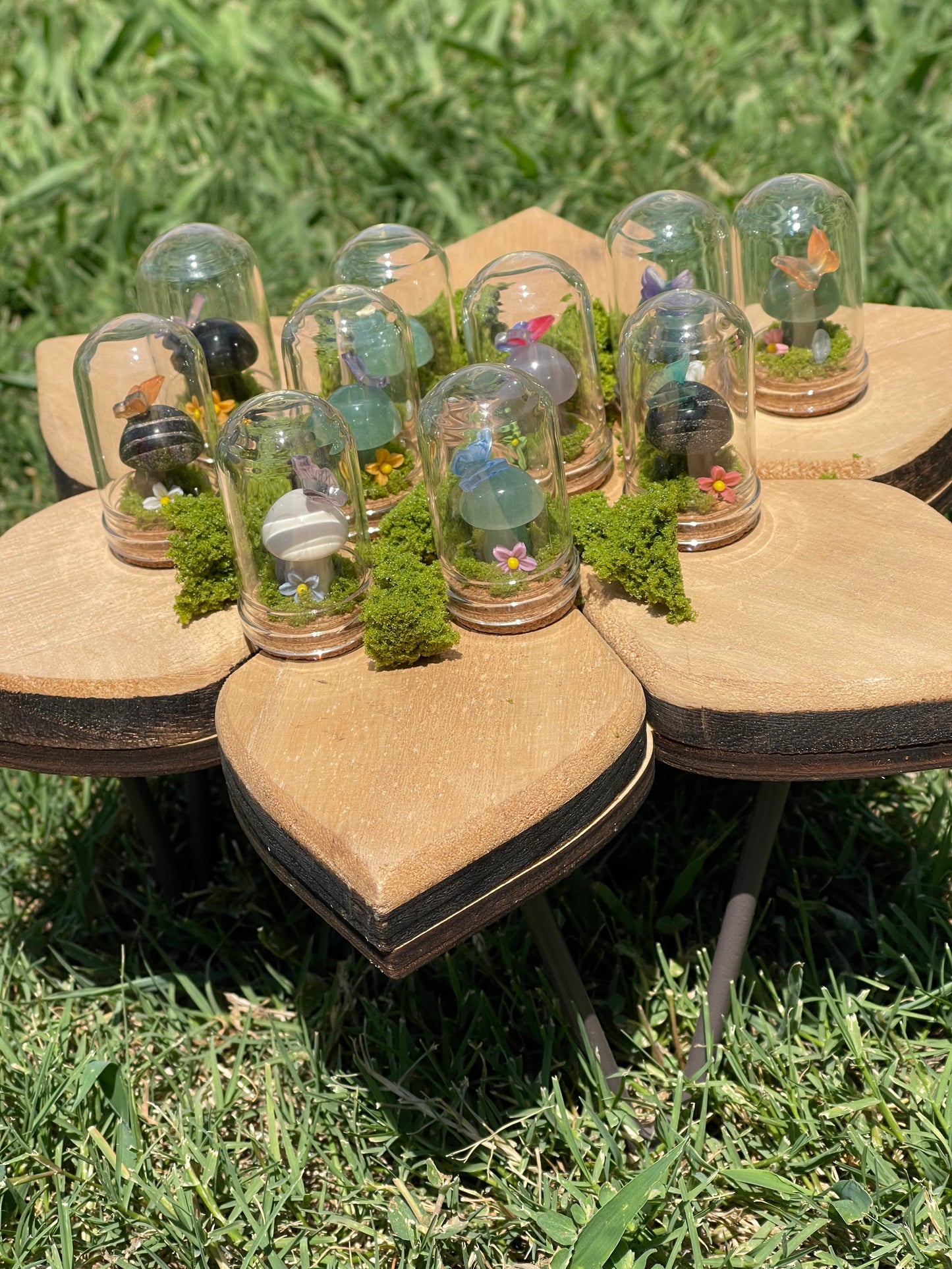 Mushie Terrarium