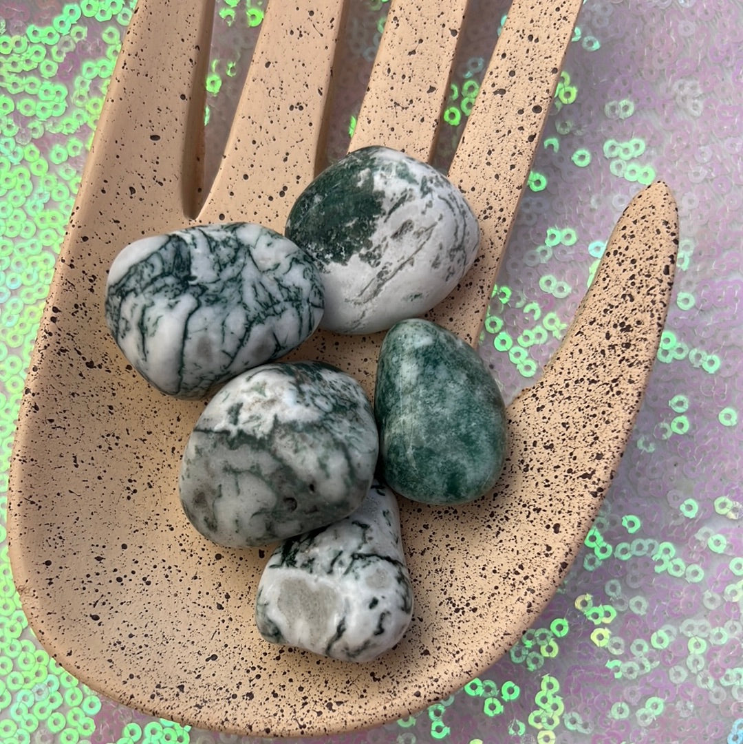 Tree agate tumbles