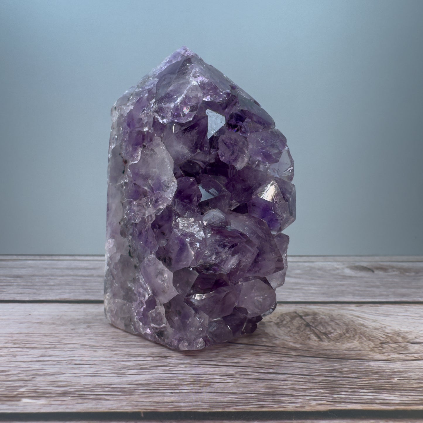 Amethyst Tower – 800026 (2)