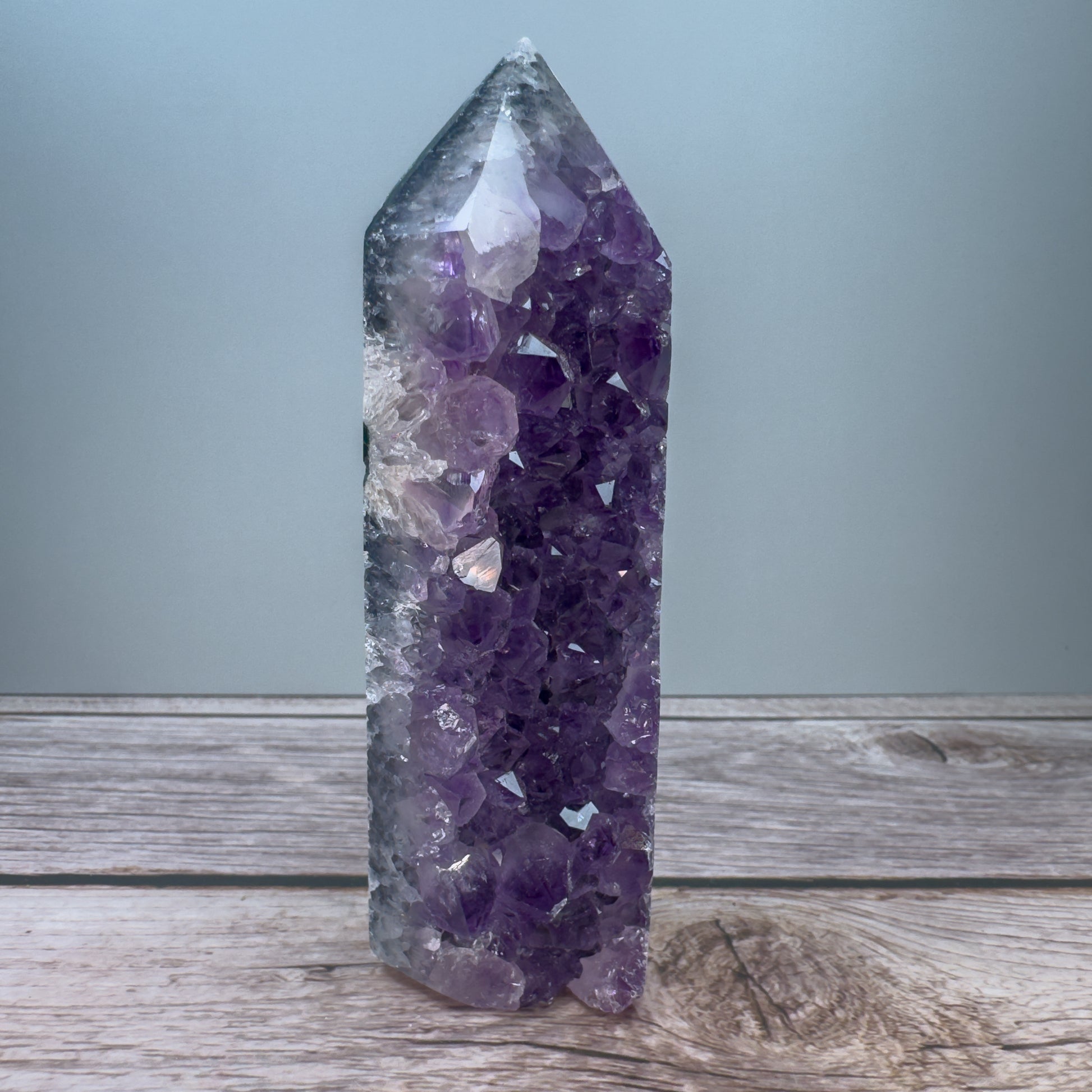 Amethyst Tower – 800027 (2)