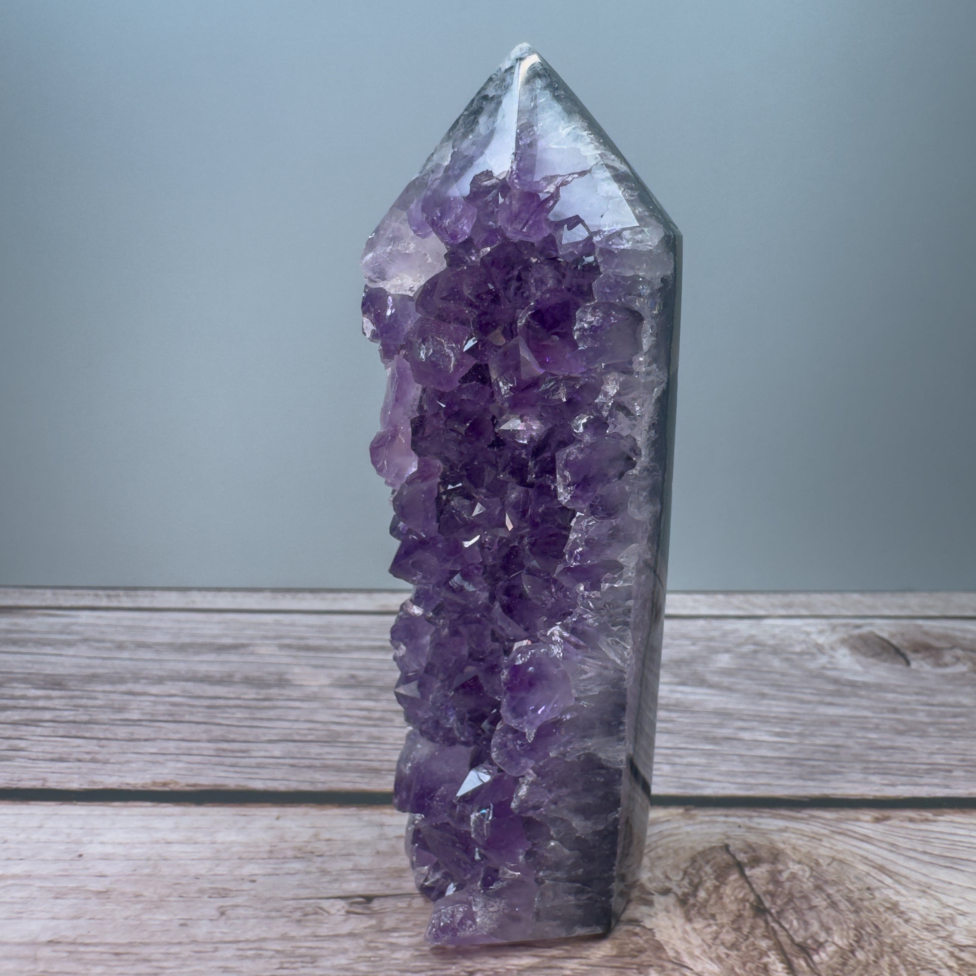 Amethyst Tower – 800027 (3)