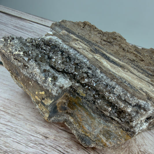 Crystallized Fossil Wood Raw – 100068