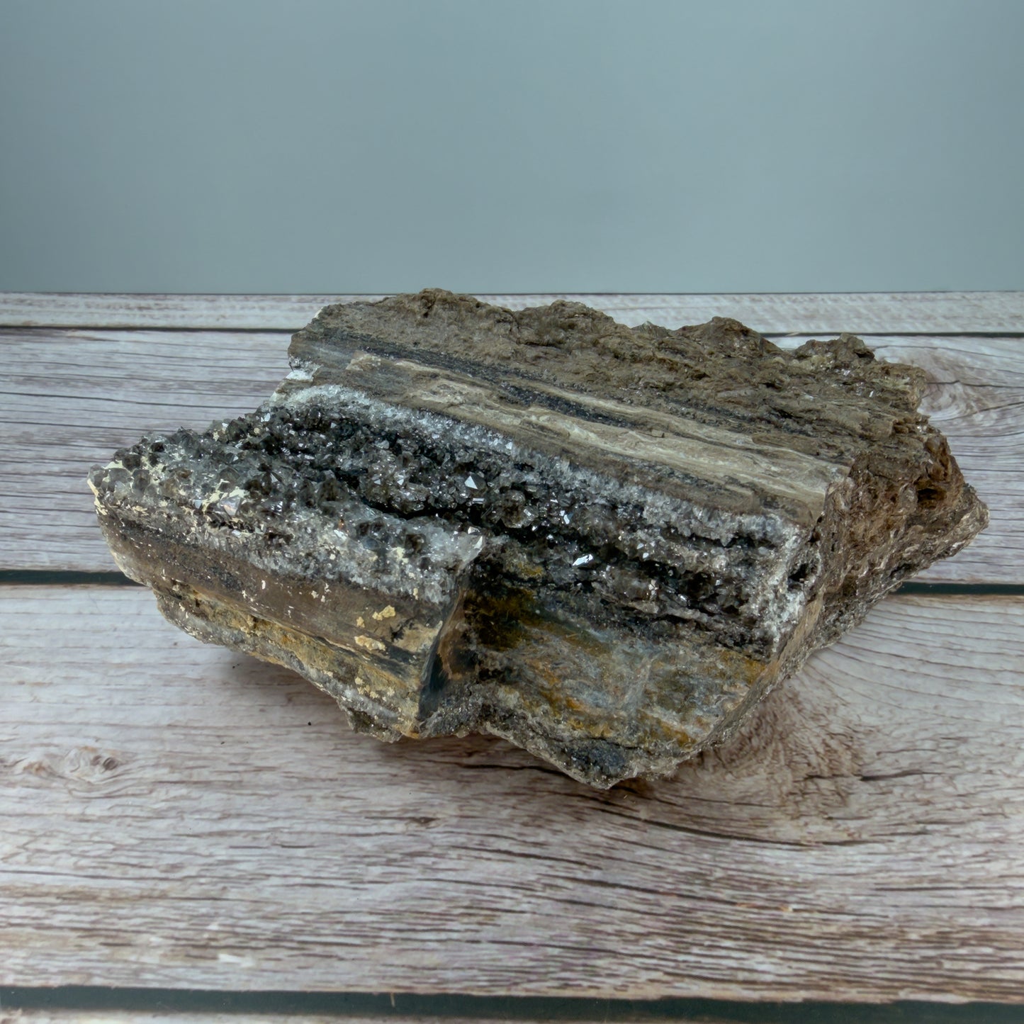Crystallized Fossil Wood Raw – 100068 (2)