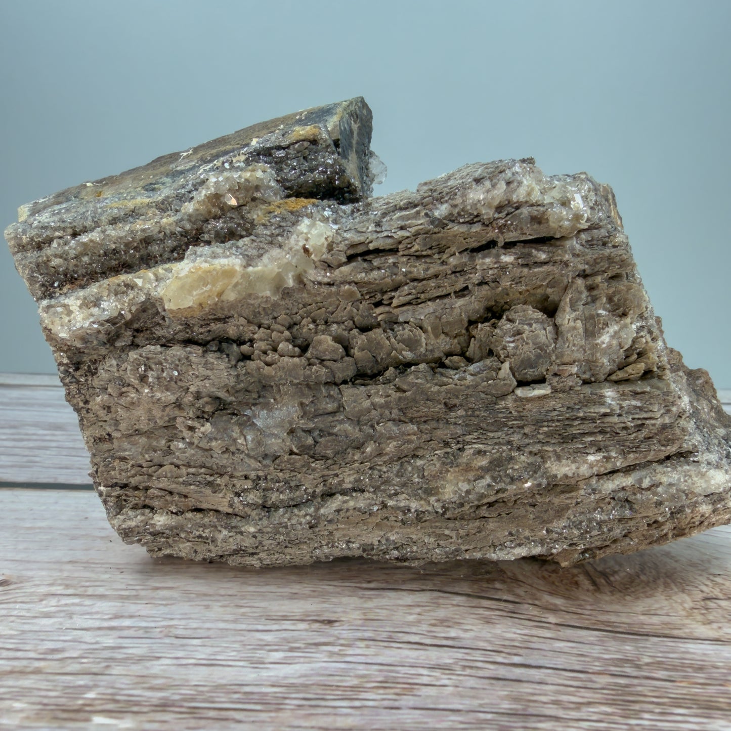 Crystallized Fossil Wood Raw – 100068 (3)
