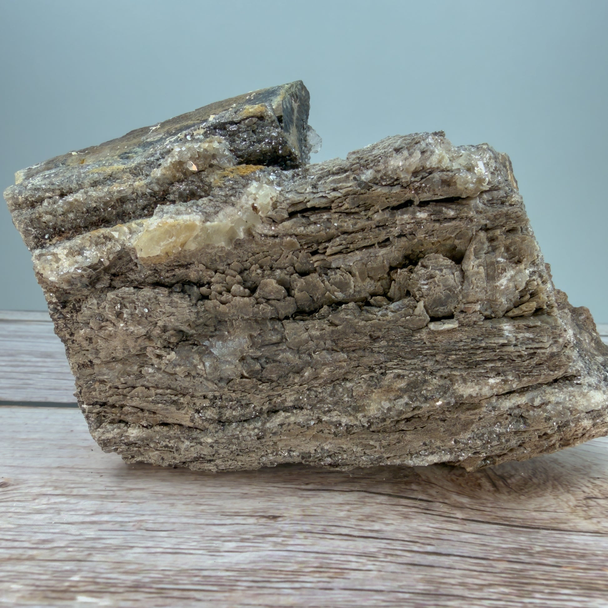 Crystallized Fossil Wood Raw – 100068 (3)