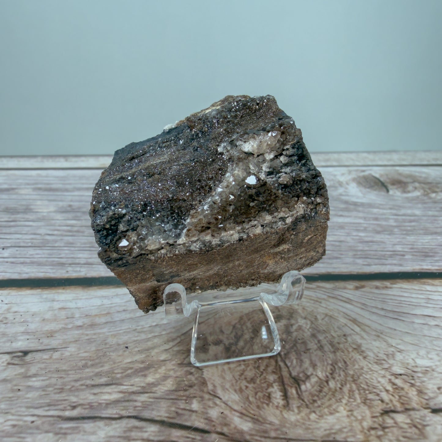 Crystallized Fossil Wood Raw – 100069 (2)