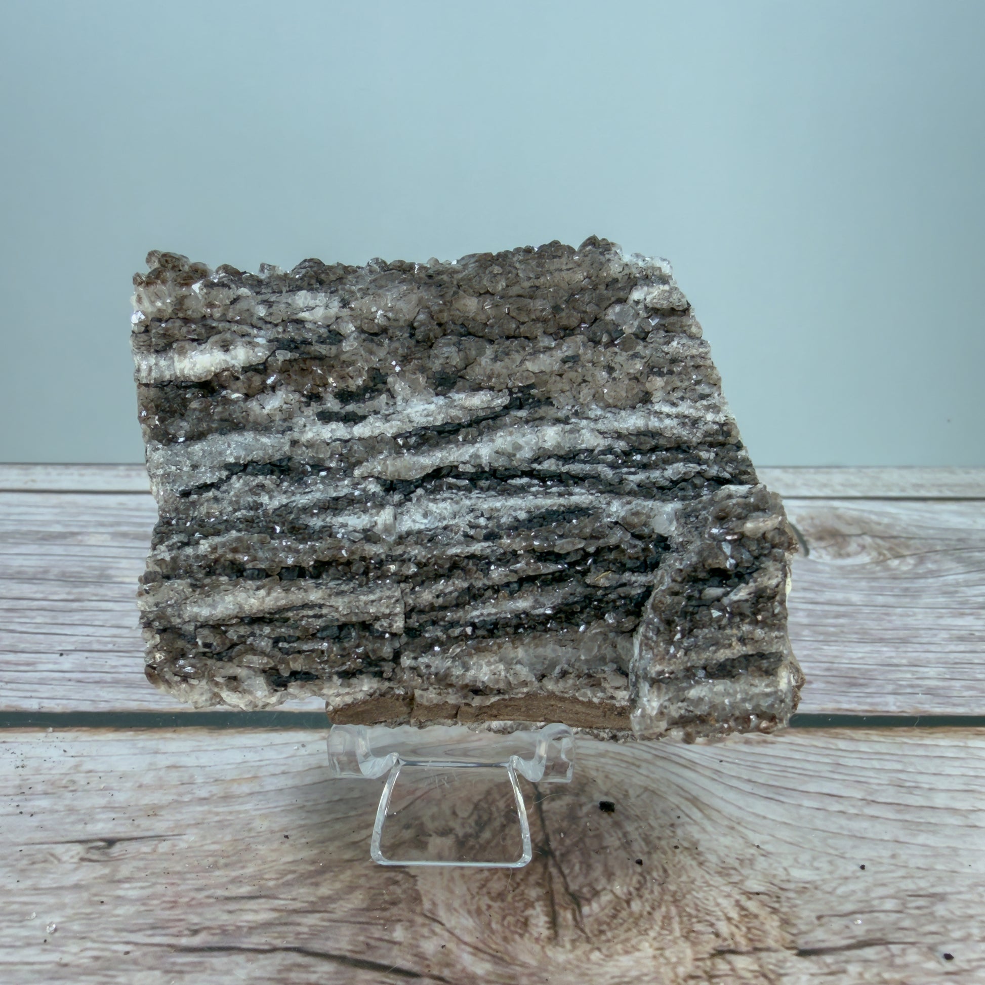 Crystallized Fossil Wood Raw – 100070