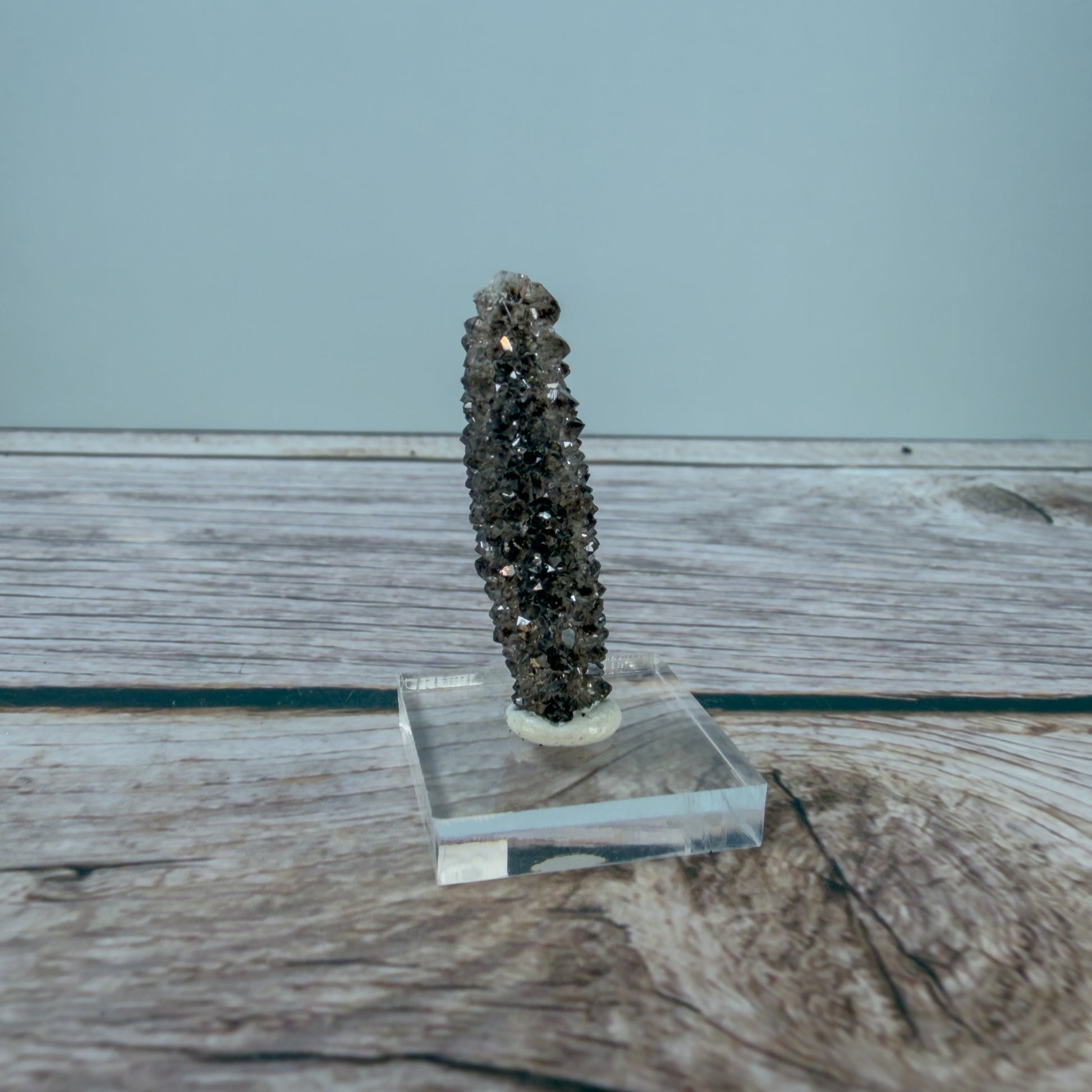 Crystallized Fossil Wood Raw – 100071