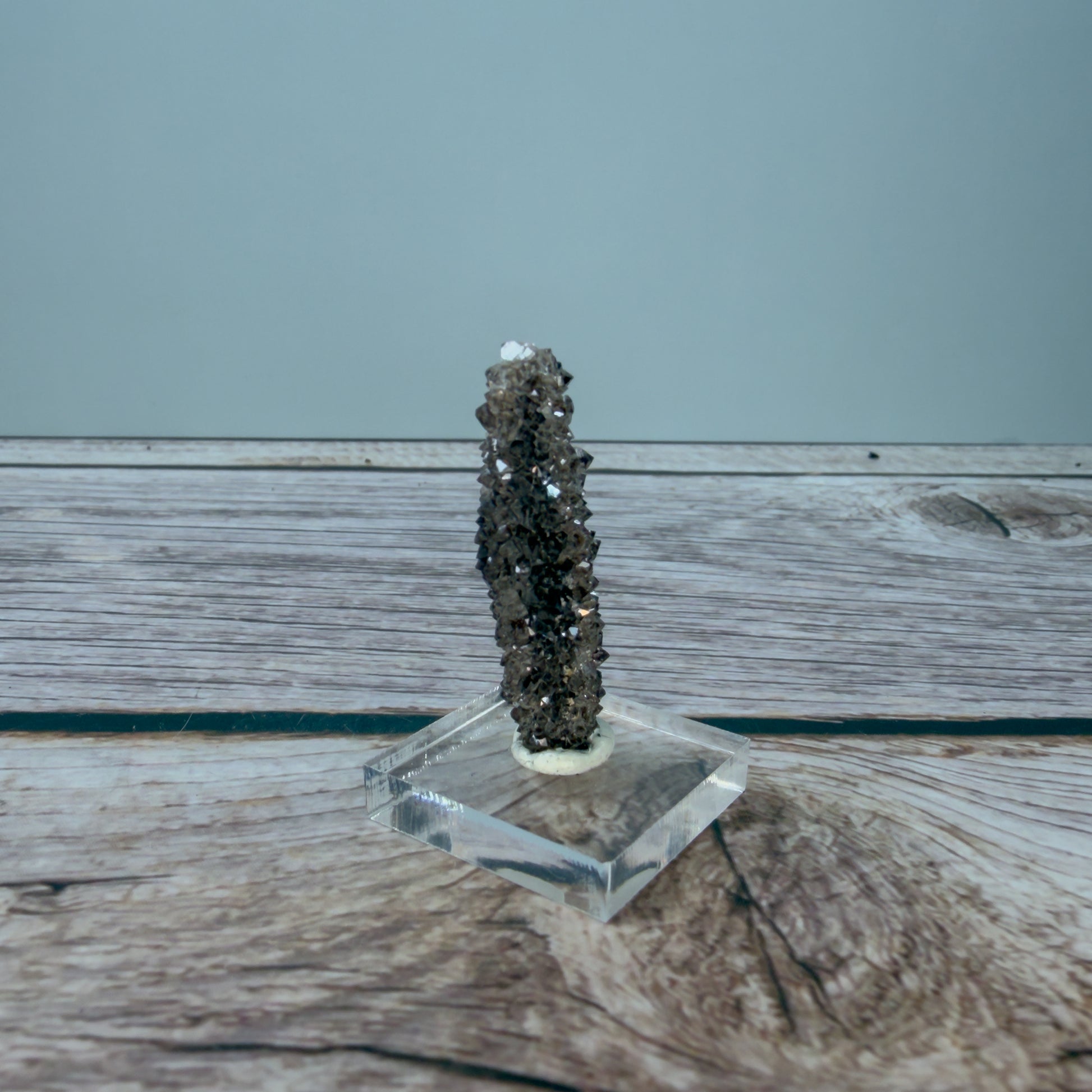 Crystallized Fossil Wood Raw – 100071 (2)