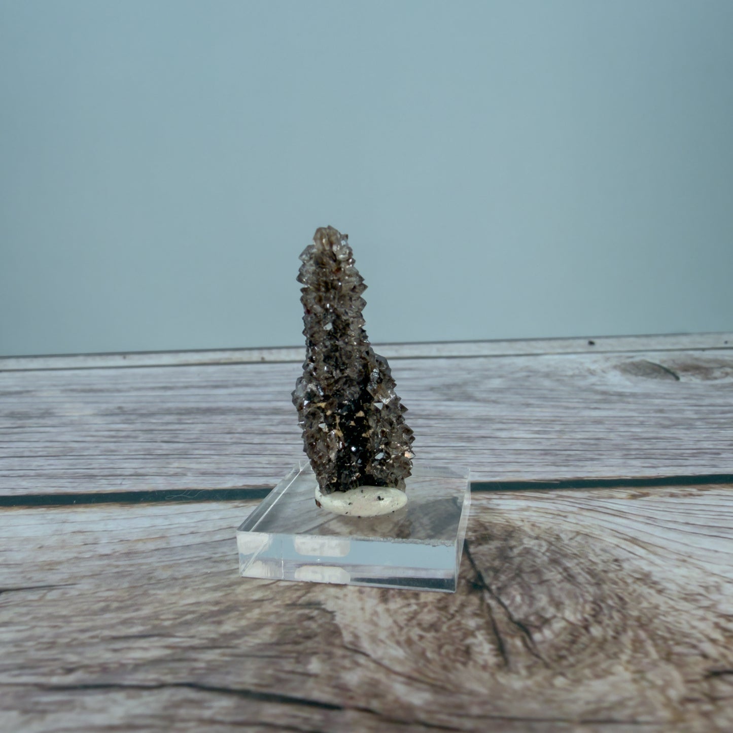 Crystallized Fossil Wood Raw – 100072