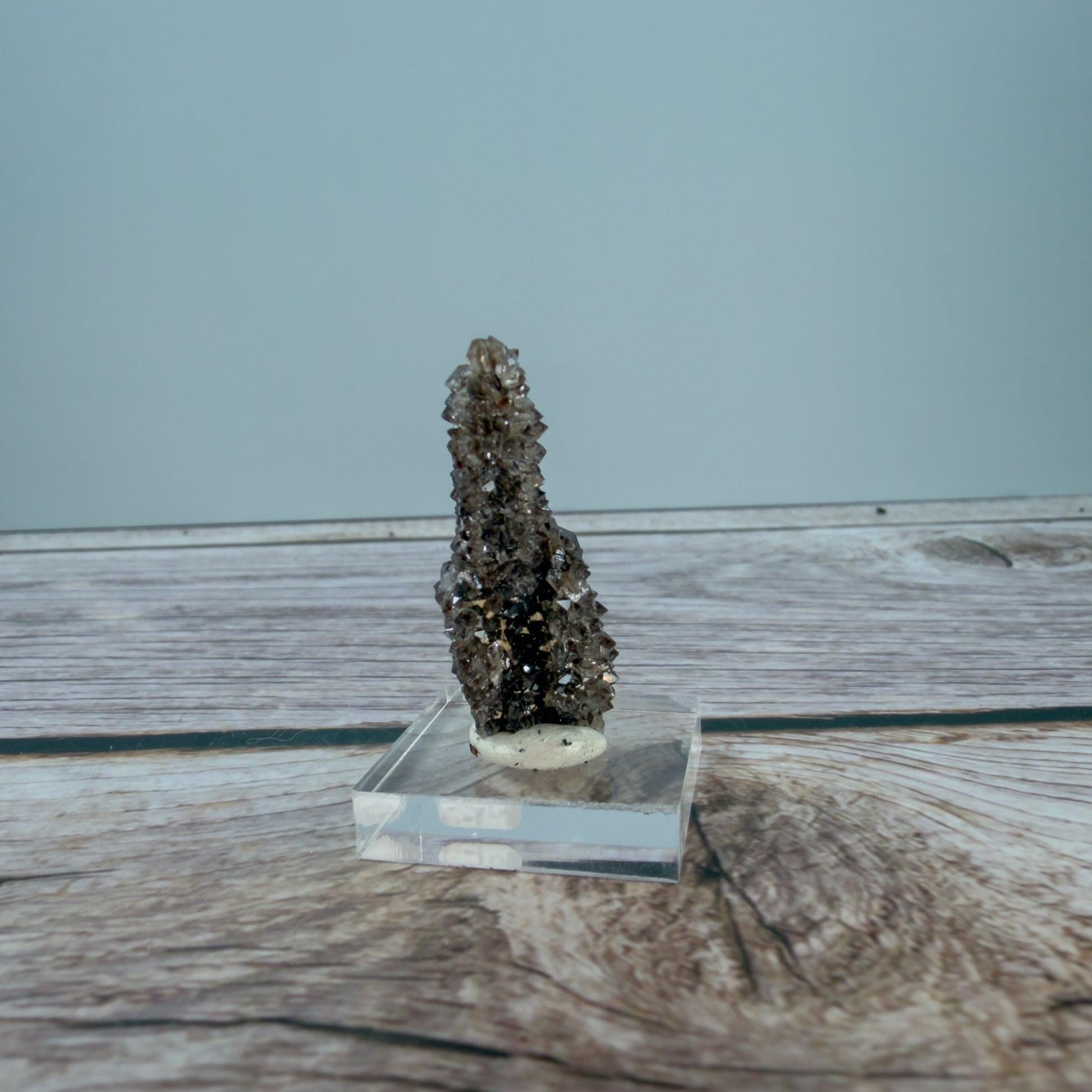 Crystallized Fossil Wood Raw – 100072