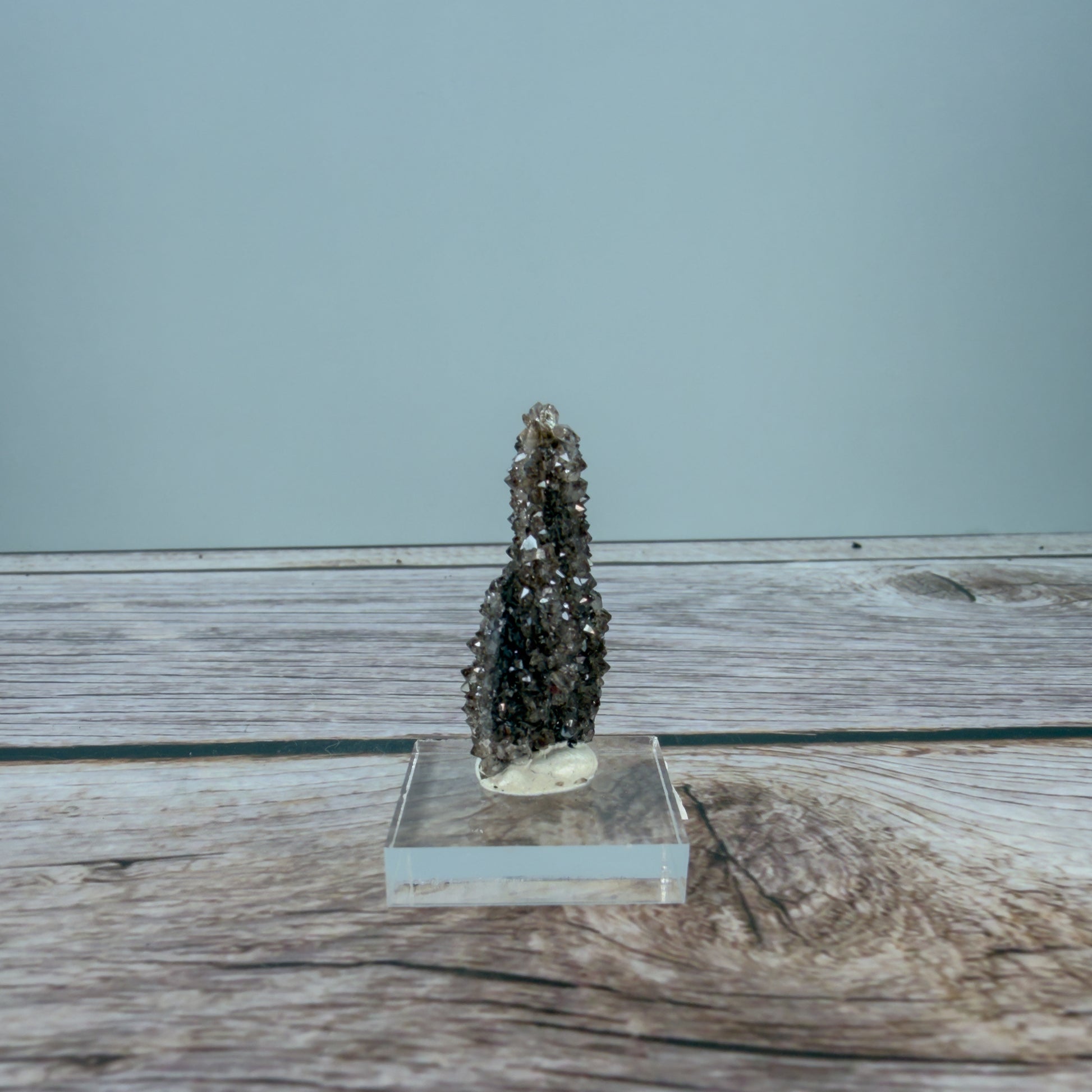 Crystallized Fossil Wood Raw – 100072 (2)