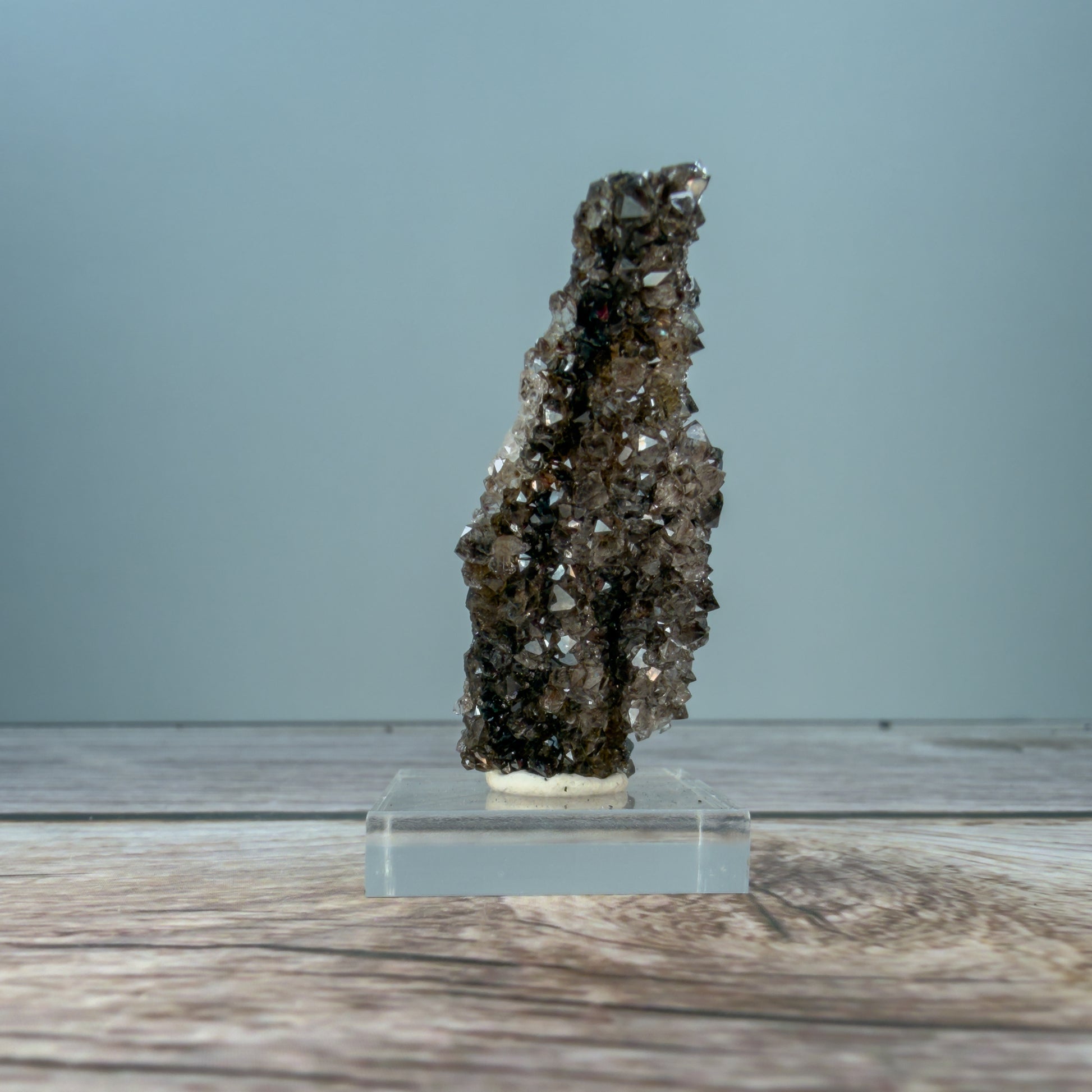 Crystallized Fossil Wood Raw – 100073