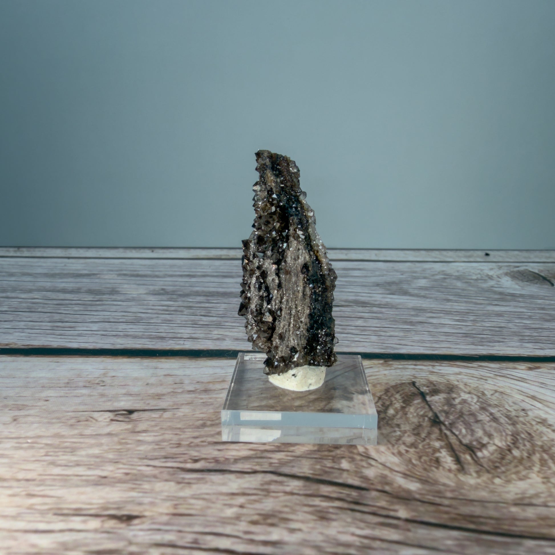 Crystallized Fossil Wood Raw – 100073 (2)