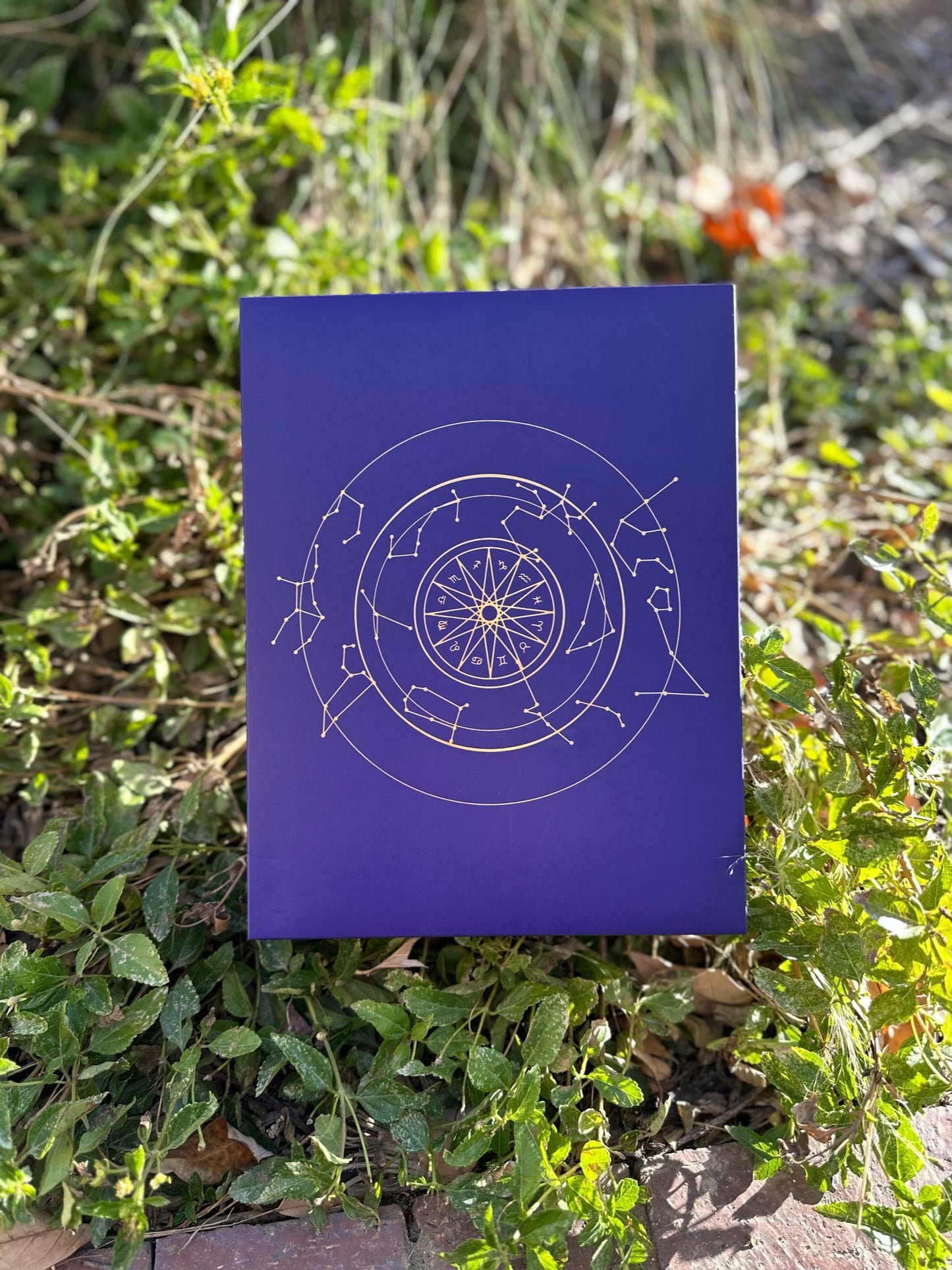 Advent Calendar